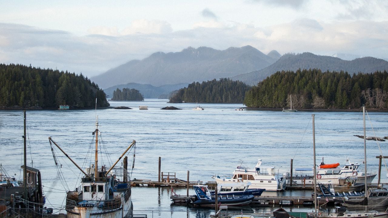 Road Trip From Vancouver to Tofino, Canada - Pursuits with Enterprise ...