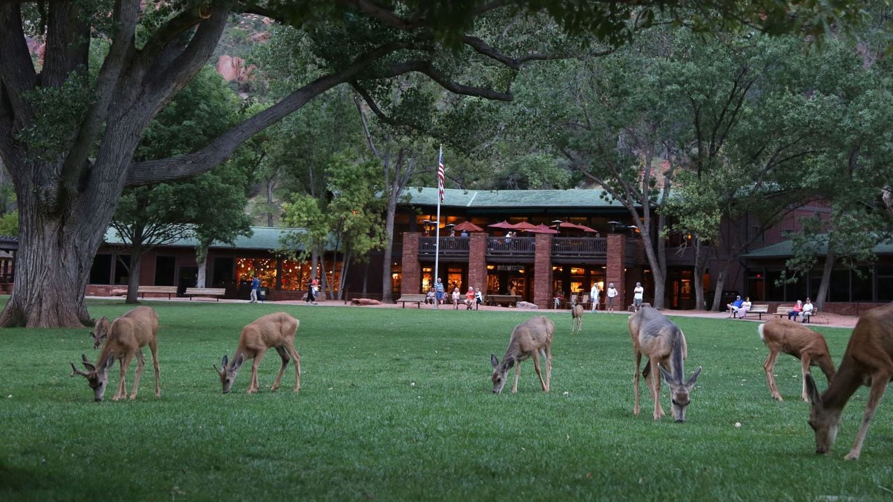 Zion National Park - Pursuits with Enterprise | Enterprise Rent-A-Car