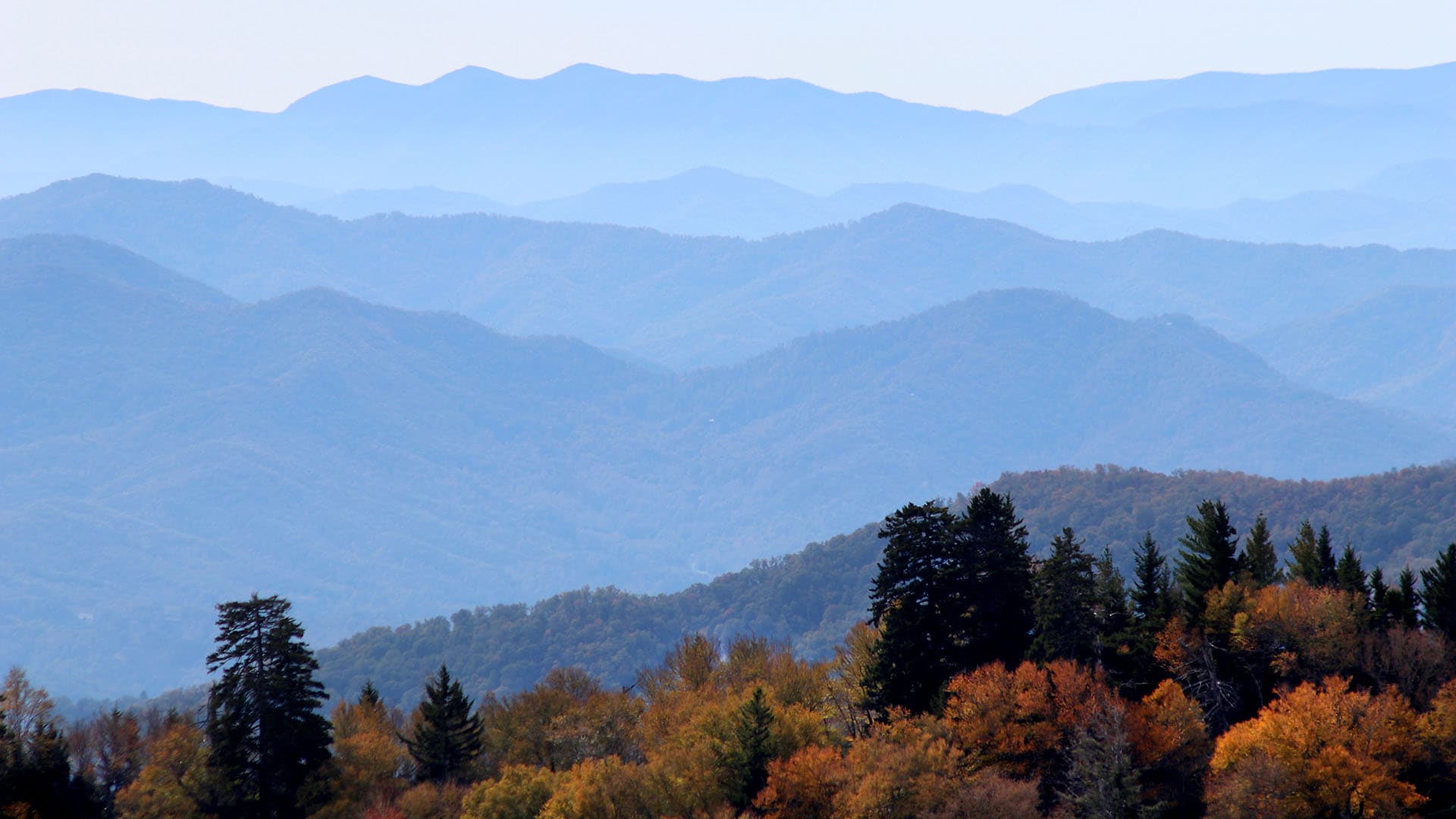 Un soupçon d’automne ajoute à la beauté des vues sur le parc national des Great Smoky Mountains depuis les crêtes.